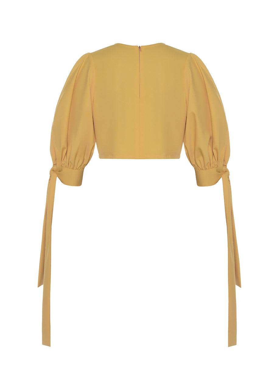 PUFF SLEEVES TOP