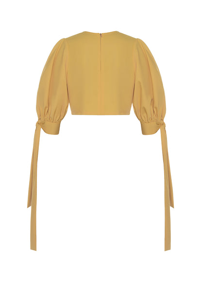 PUFF SLEEVES TOP