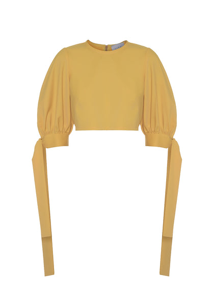 PUFF SLEEVES TOP